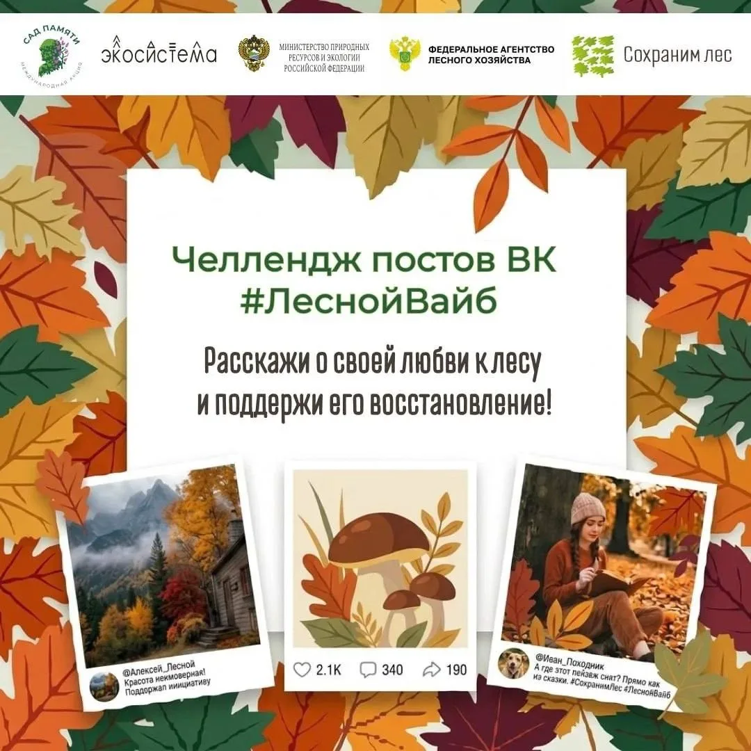 🌲 Челлендж #ЛеснойВайб: расскажи свою лесную историю и получи шанс выиграть крутой «ле...