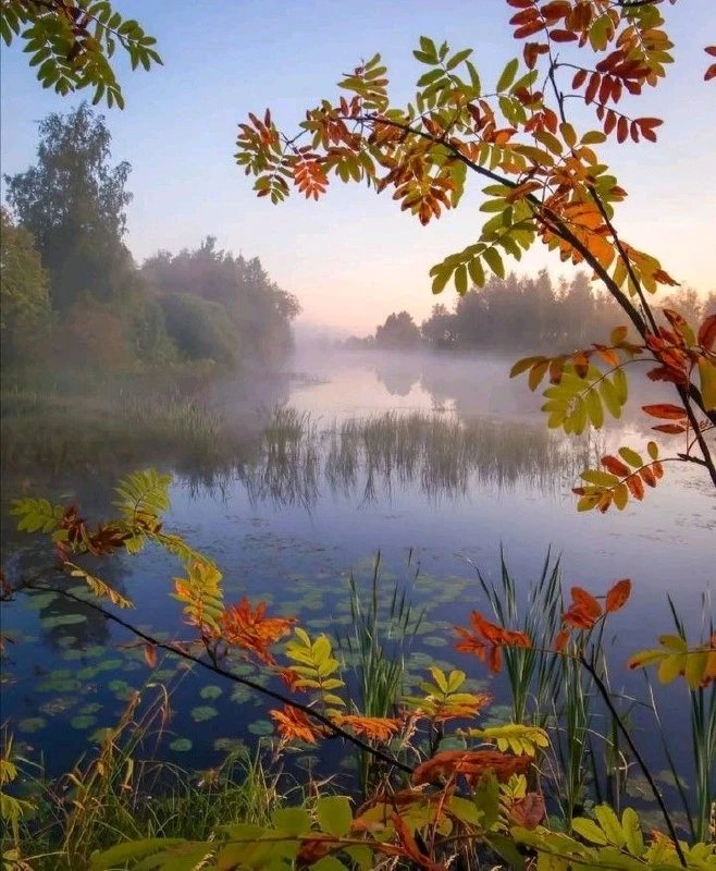 🍃Юрий Кручинин