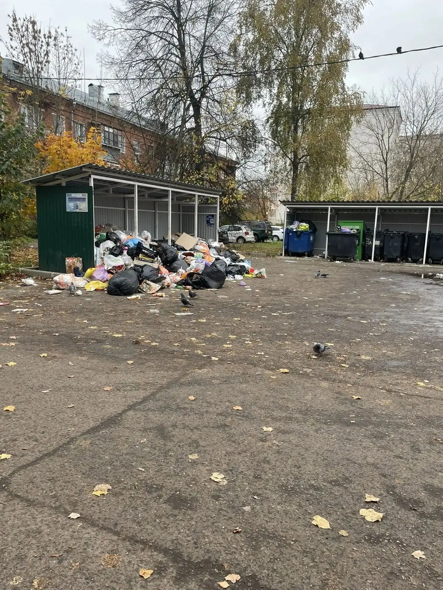 Здравствуйте. Обойдите, пожалуйста, улицу Парковая 11.