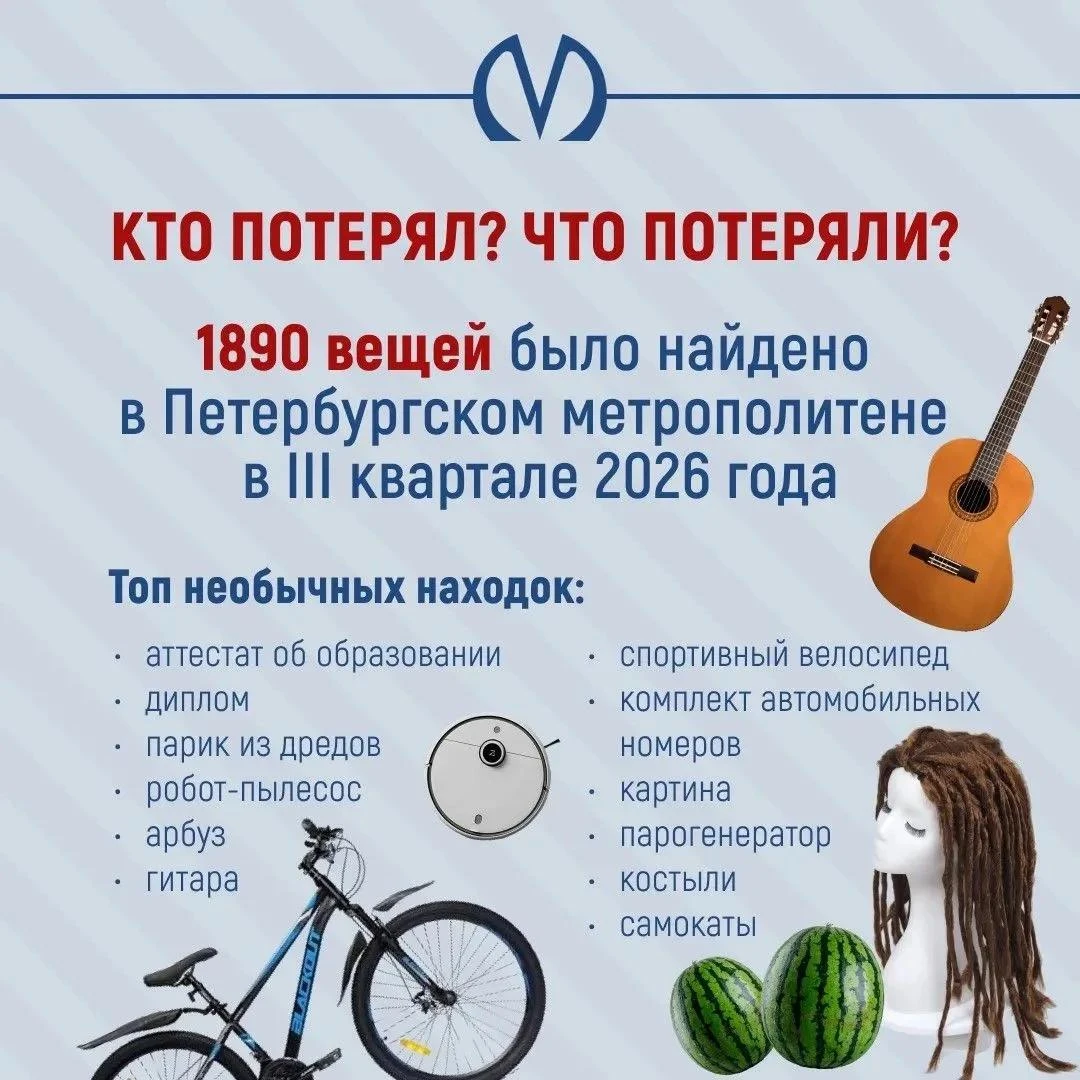 Диплом, парик из дредов и робот-пылесос — что общего?