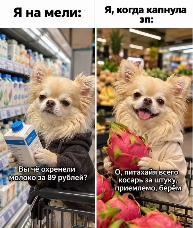 GIRL'S MEMES