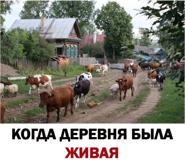 Всё для дома и уюта 👉 https://max.ru/channel_besoni00