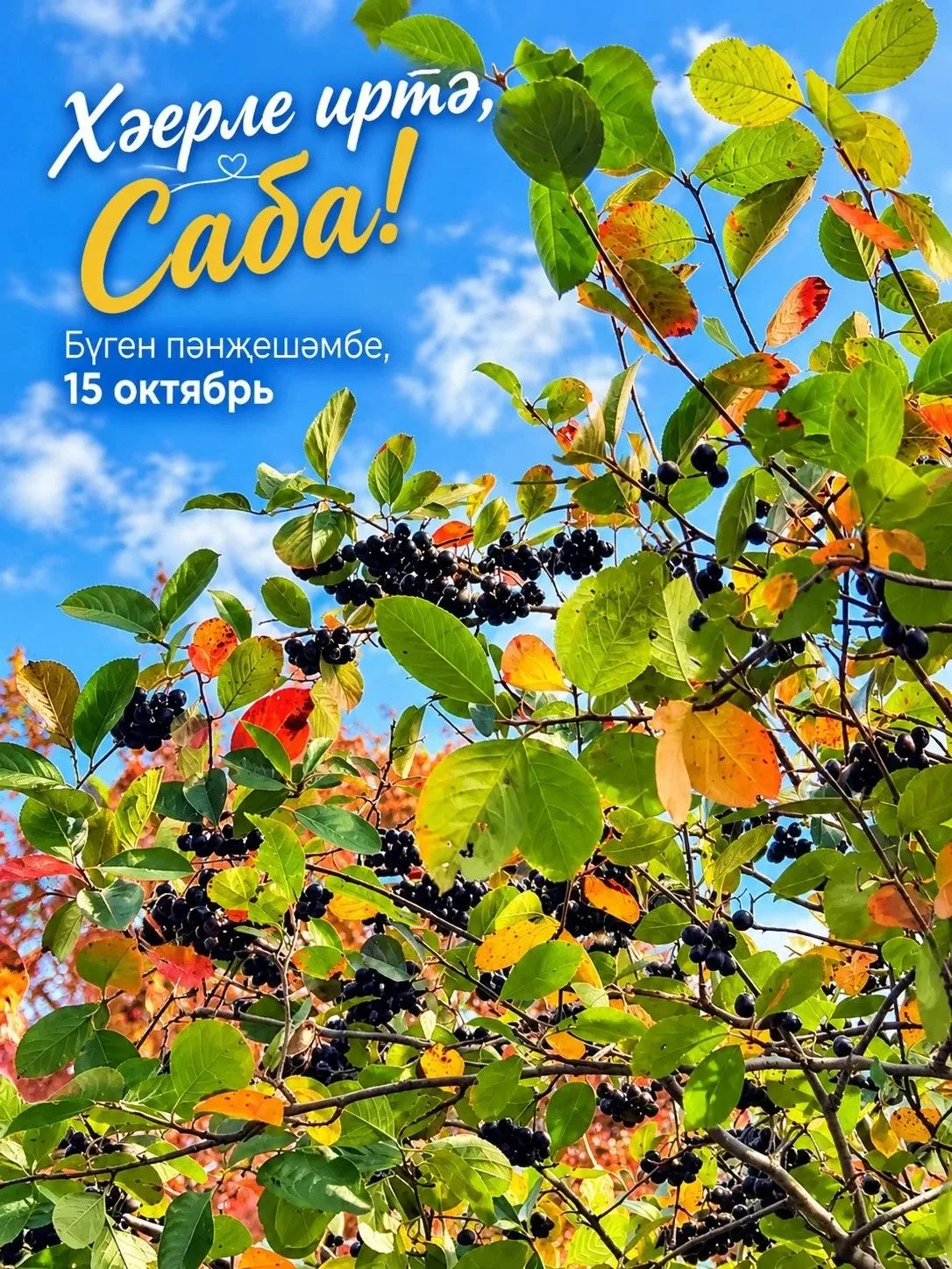 ☀️🍁 ХӘЕРЛЕ ИРТӘ, РАЙОНДАШЛАР!