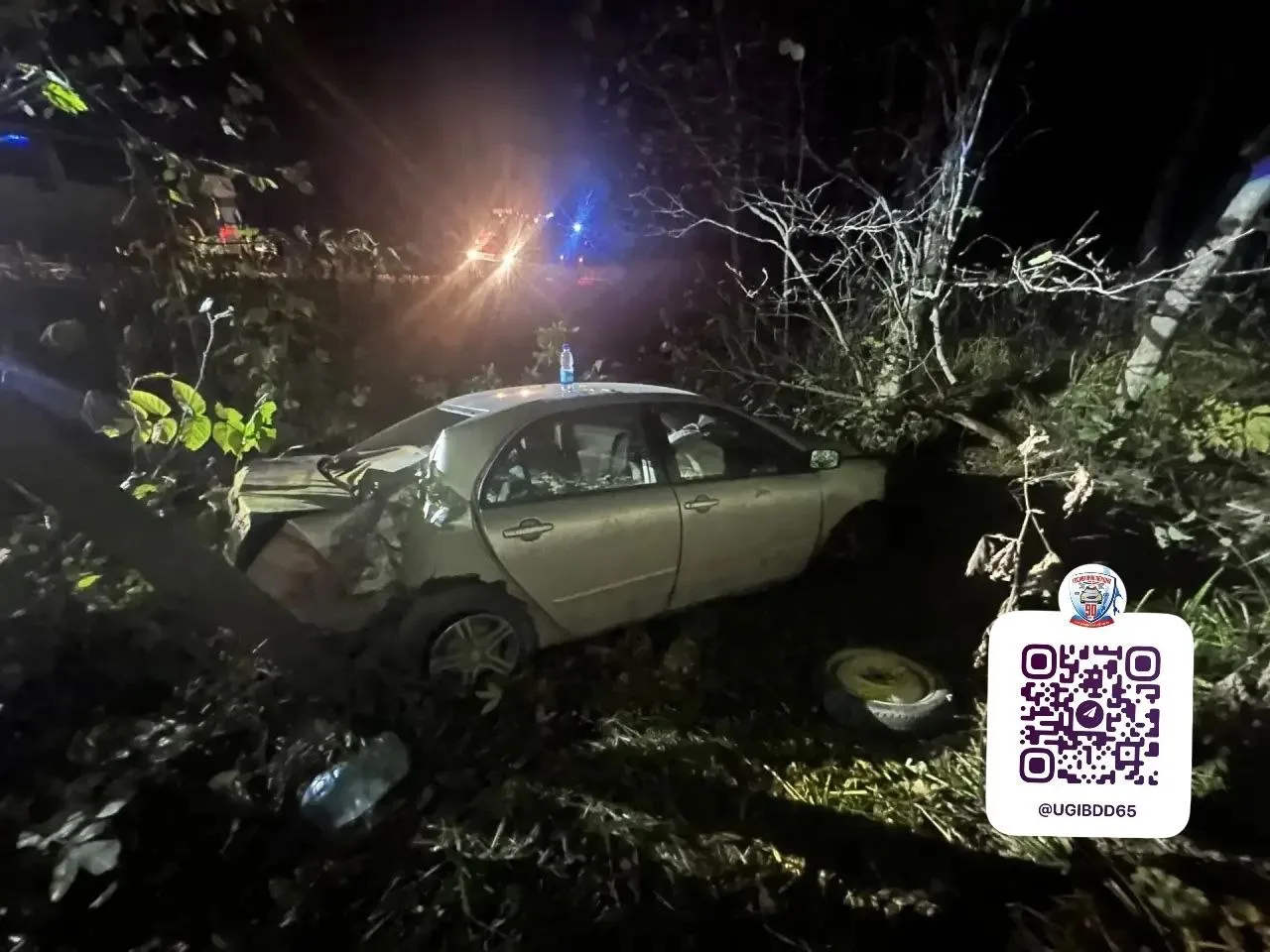 🚨Пьяный пенсионер за рулём Toyota съехал с дороги в Корсаковском районе