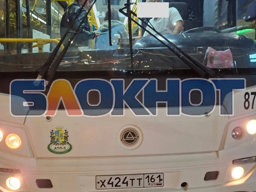 Водила автобуса резко тормозил, курил сигареты, ругался матом и пропускал остановки, жа...