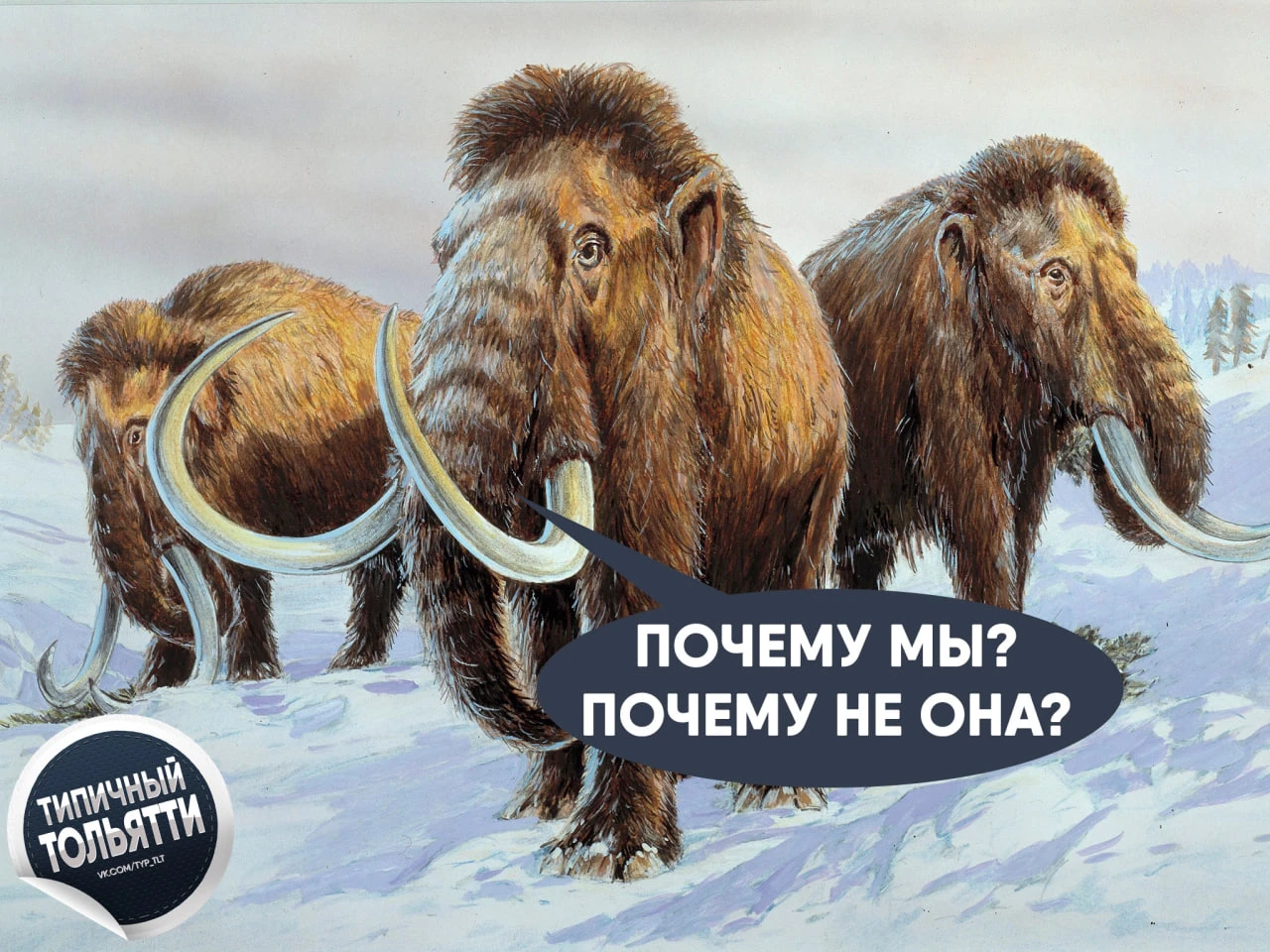 В Ставропольском районе несовершеннолетняя девушка передала мошенникам 18 тысяч долларо...