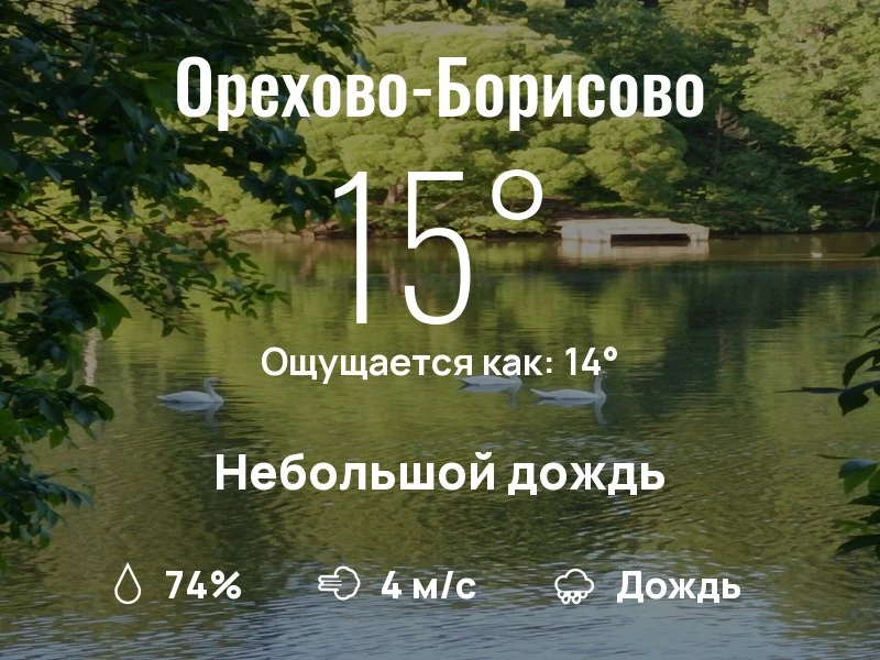 Что с погодой в Орехово-Борисово?