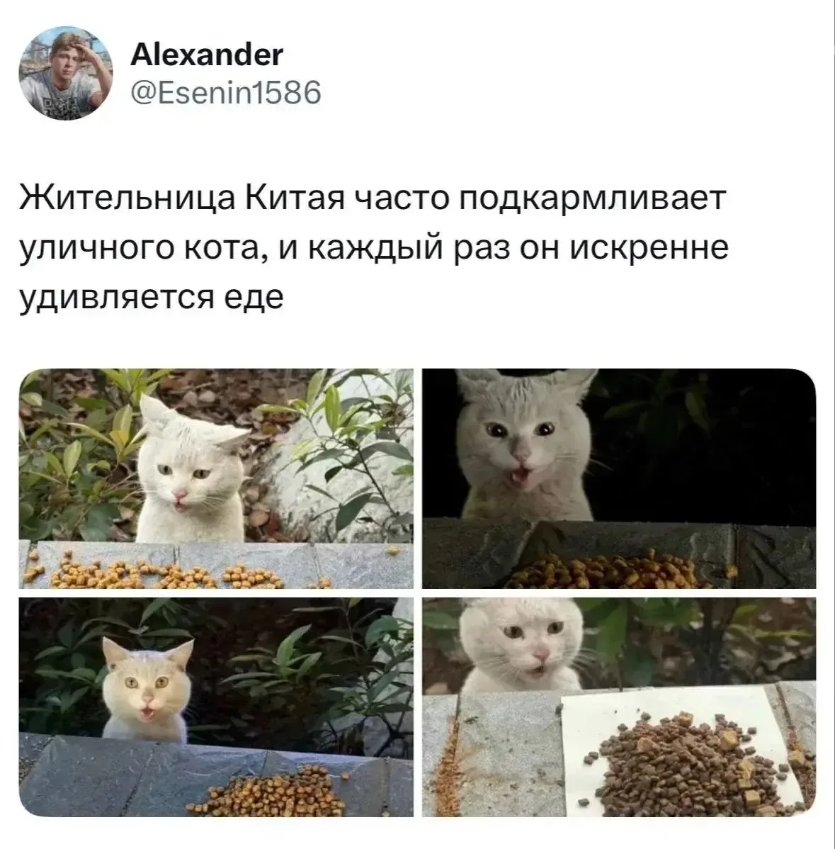 Он в шоке