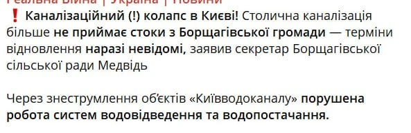 Бегом в лоток, укросуки!