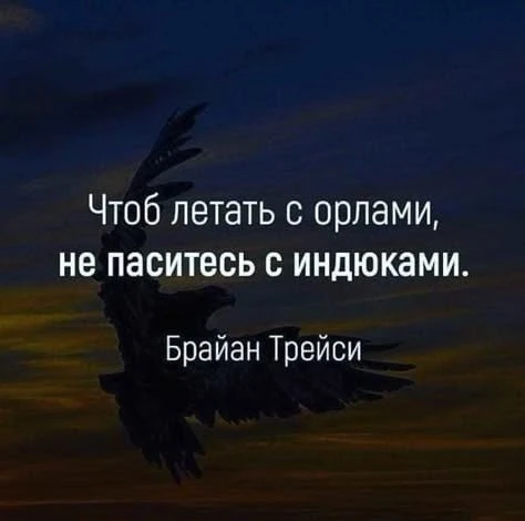 Смысл в каждой фразе — Подпишись