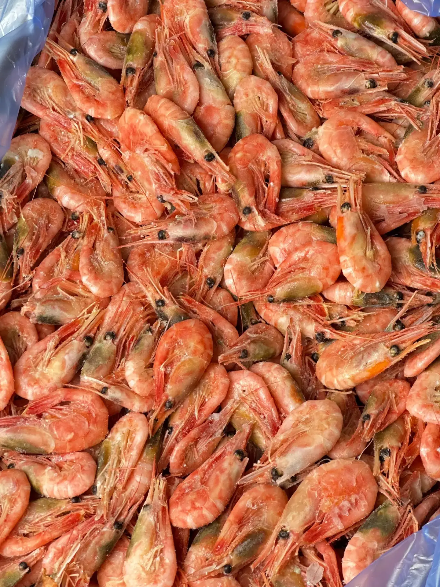 Побалуйте себя морепродуктами! 🦐