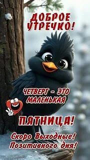 Доброе утро, четверг! 🎉 Пусть день будет лёгким, а всё задуманное легко получается. Ес...