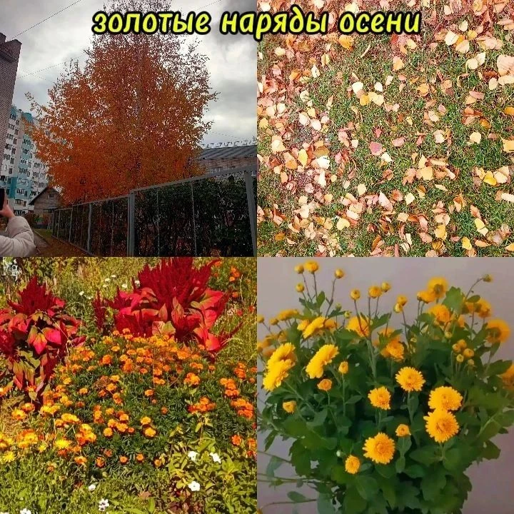 Семейный марафон 🍁