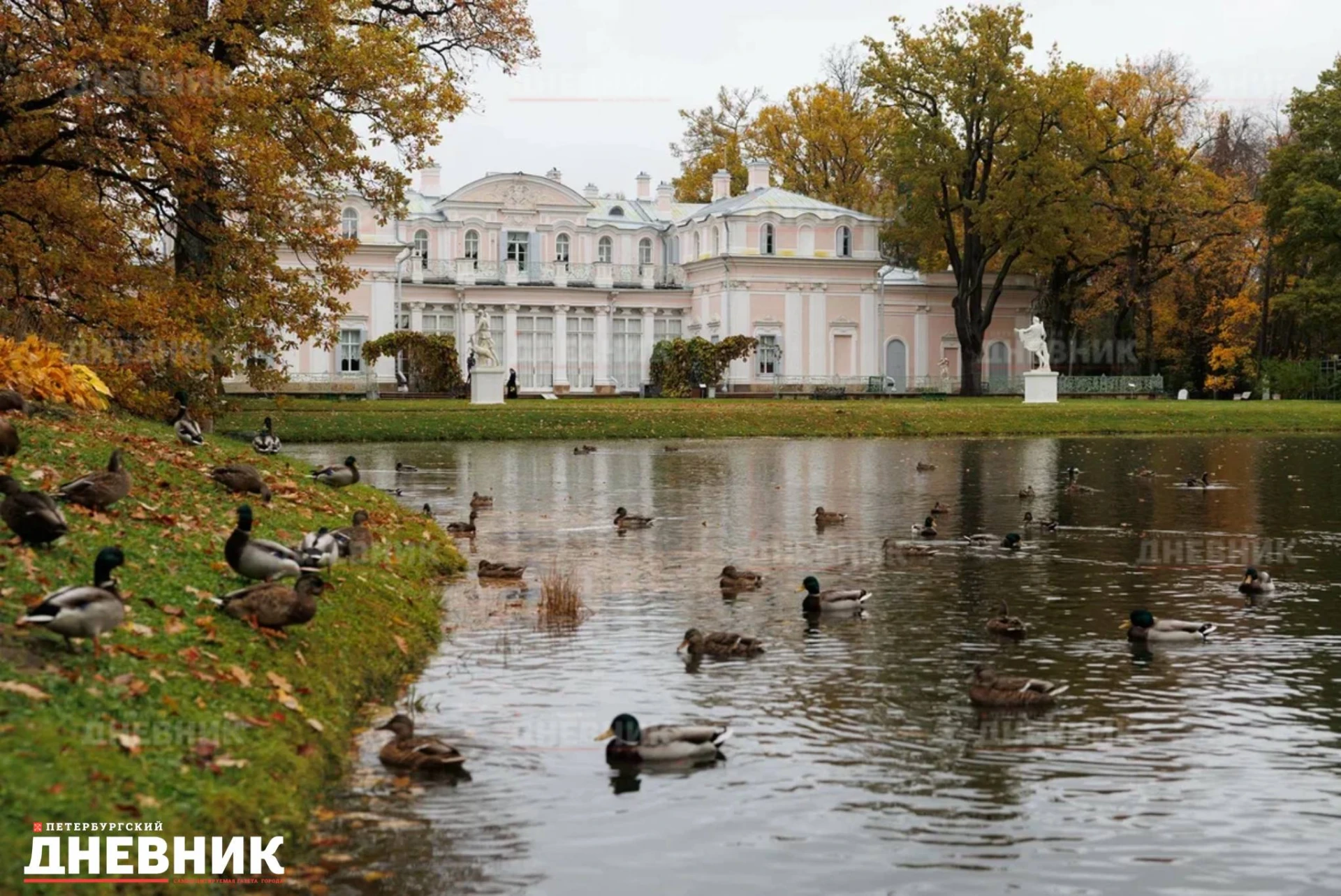 🍁 Осень рисует свои пейзажи в Ораниенбауме