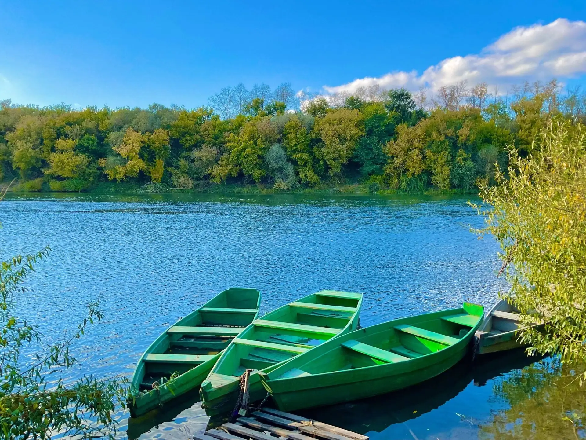 Река Дон в октябре…🍂🍄‍🟫🐠