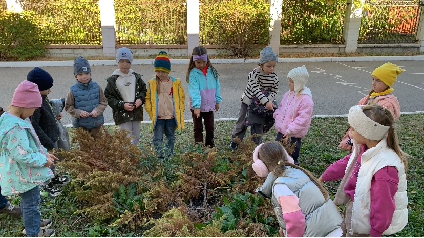 🍁 На прогулке ребята подготовительной к школе группы "Семицветик" превратились в насто...