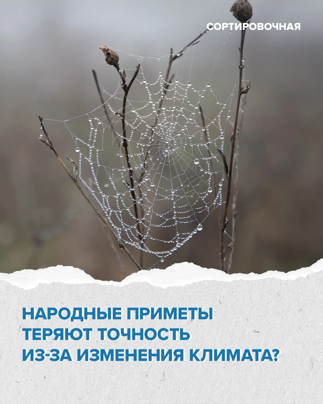 Изменение климата влияет на народные приметы