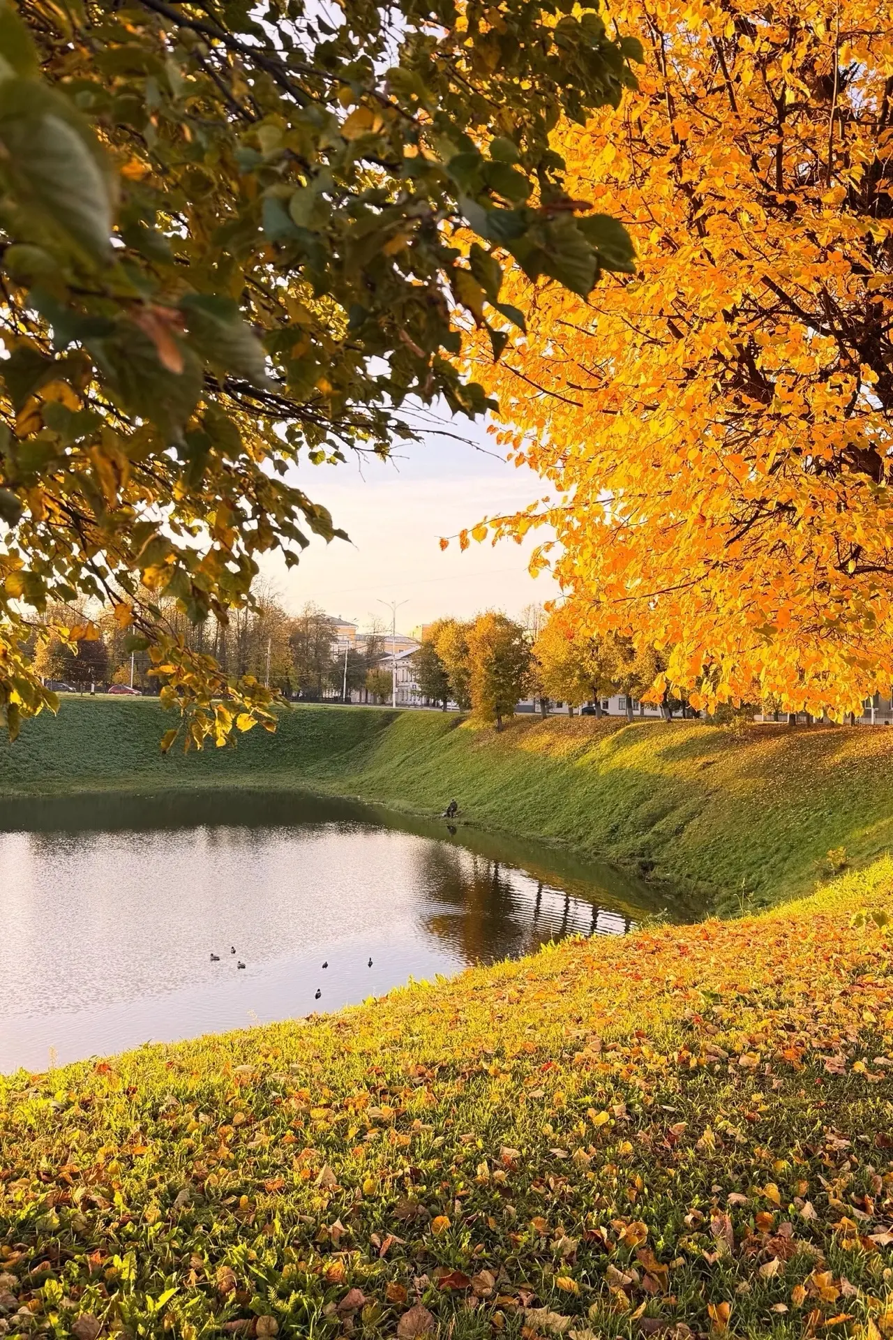 Осень 💛