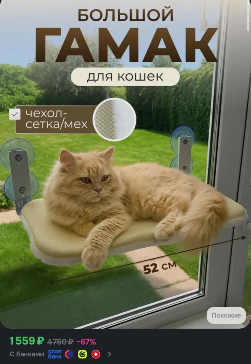 Рейтинг 4.9⭐️
