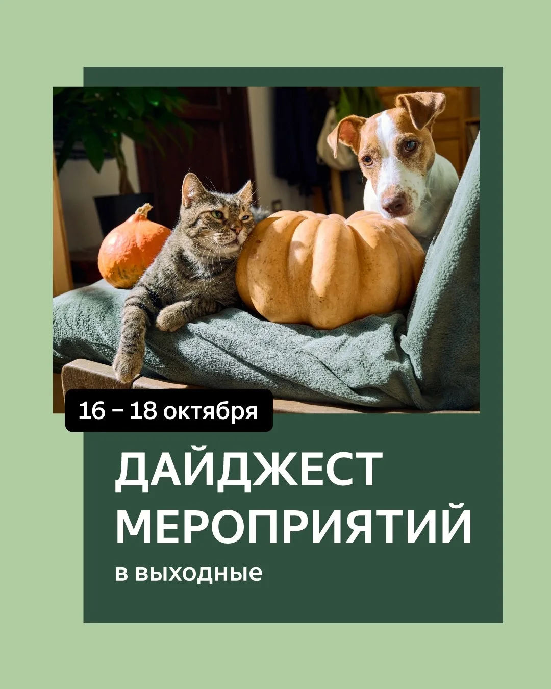 Приглашаем на мероприятия🍁