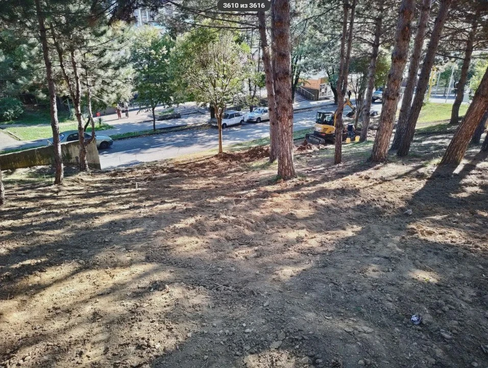 🌳 В Лазаревском обустроят сквер