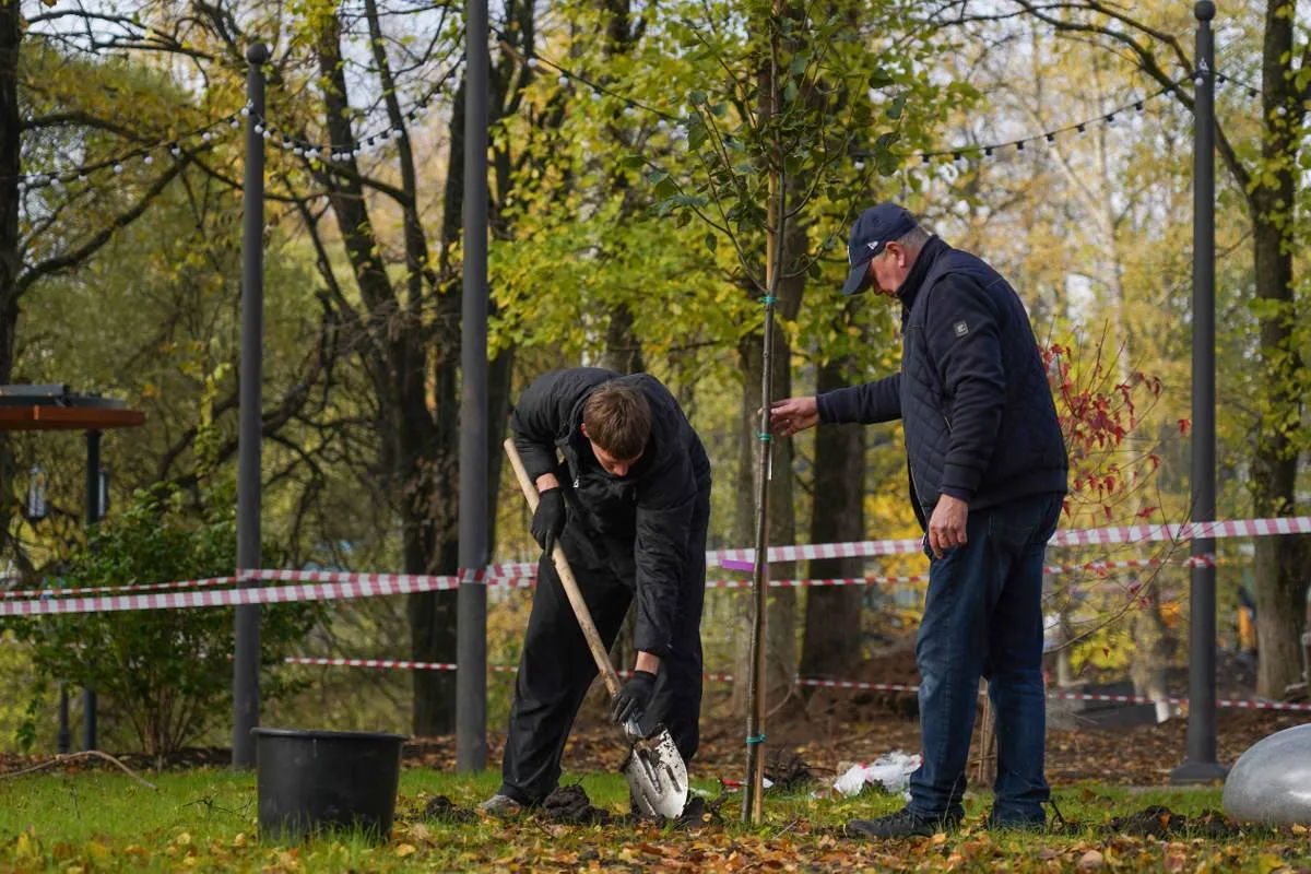 🌳 В Кремлёвском саду Вологды высадят около 130 крупных деревьев.