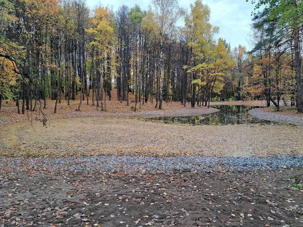 🍂 Осенний пруд в Ясенево