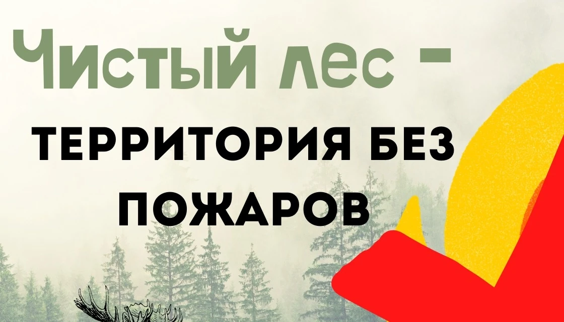 🔥🌲 «Чистый лес – территория без огня»: Урок безопасности в 3«Б»