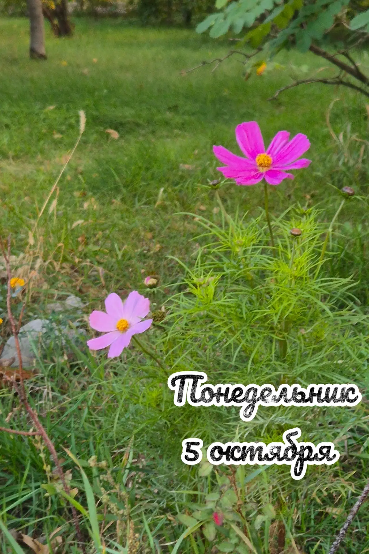 📅 Понедельник, 5 октября: день столкновения ⚡