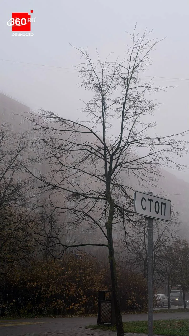 Туман съел половину города…