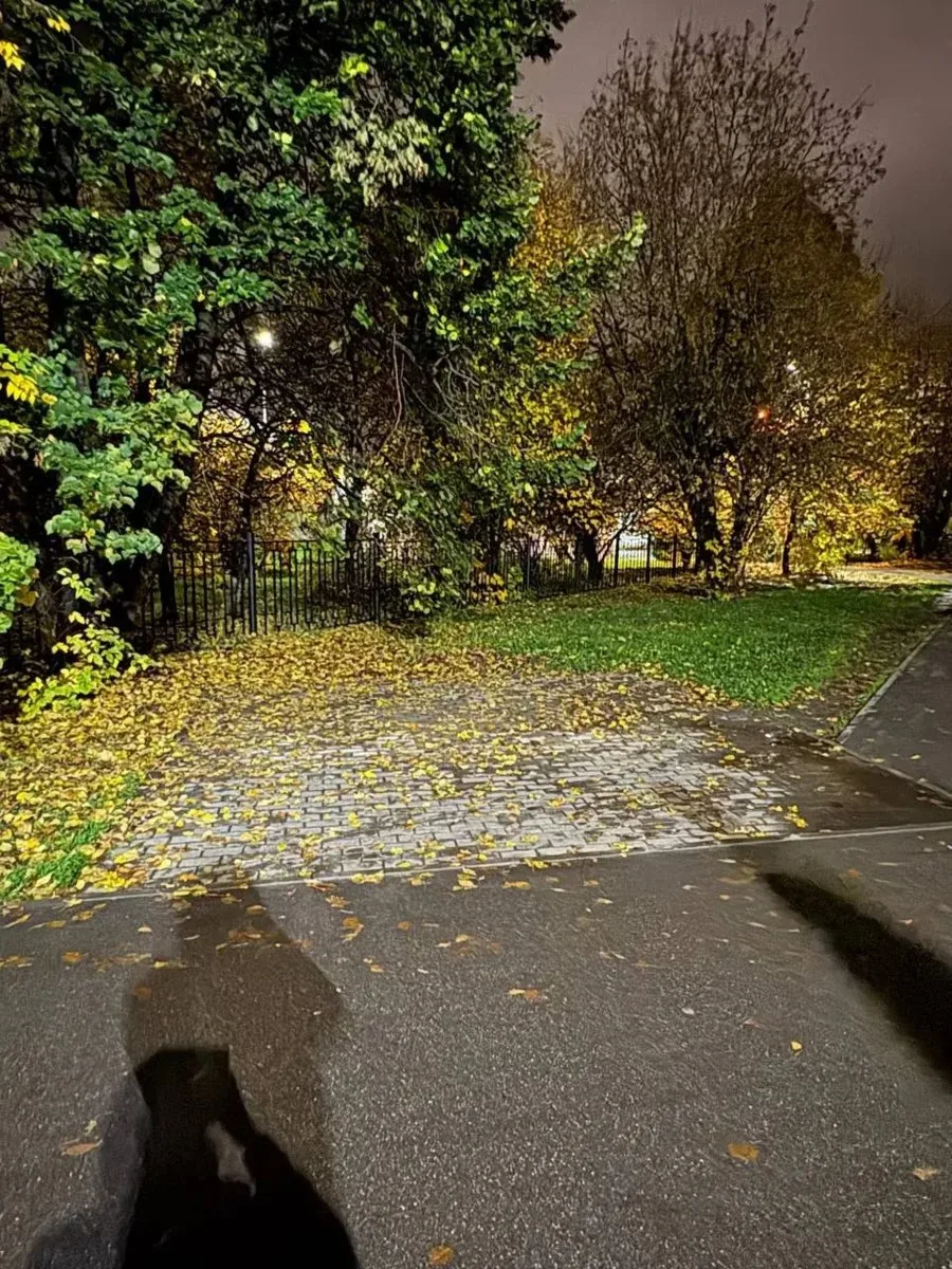 Почему-то убрали палатки с мороженным на ул Школьной и Центральной. Может быть кто-то з...