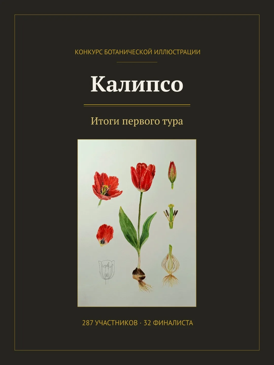 Калипсо: итоги первого тура 🍁