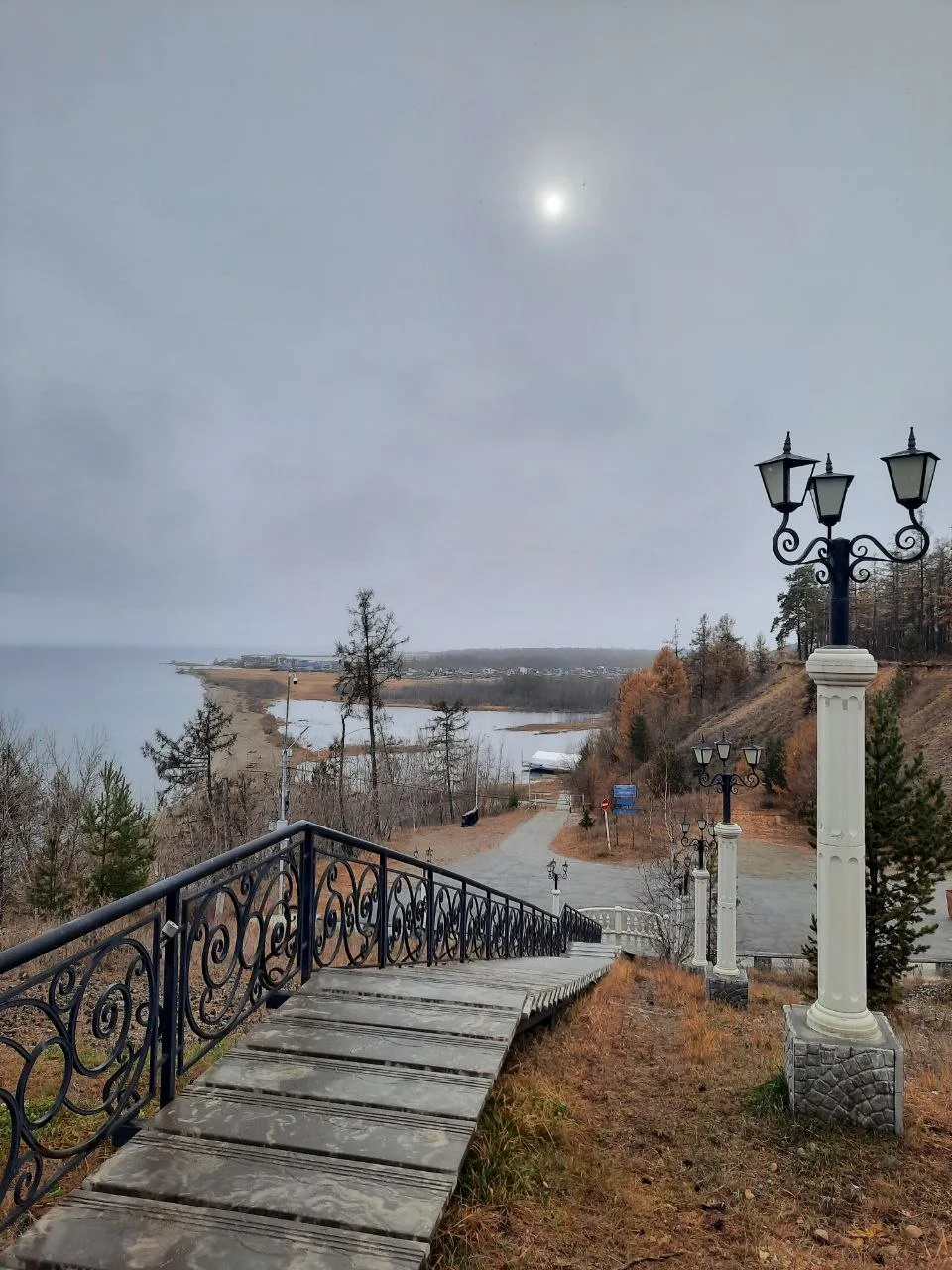 😍Снежинки на паппусах одуванчика.