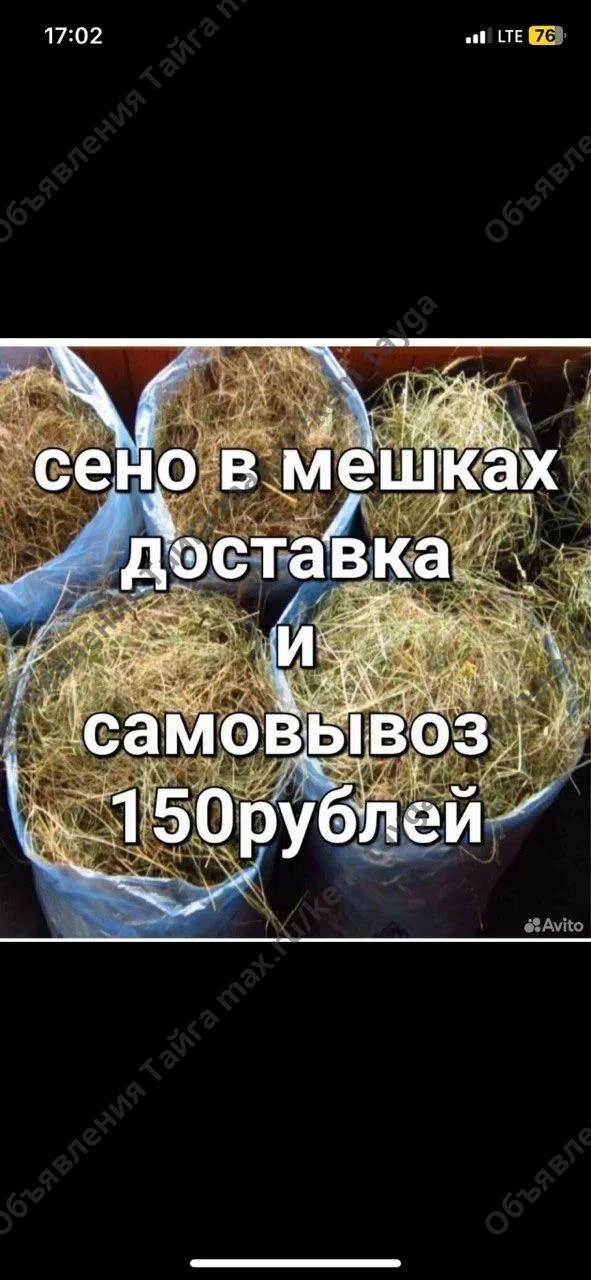 Продам сено в мешках 89235192062