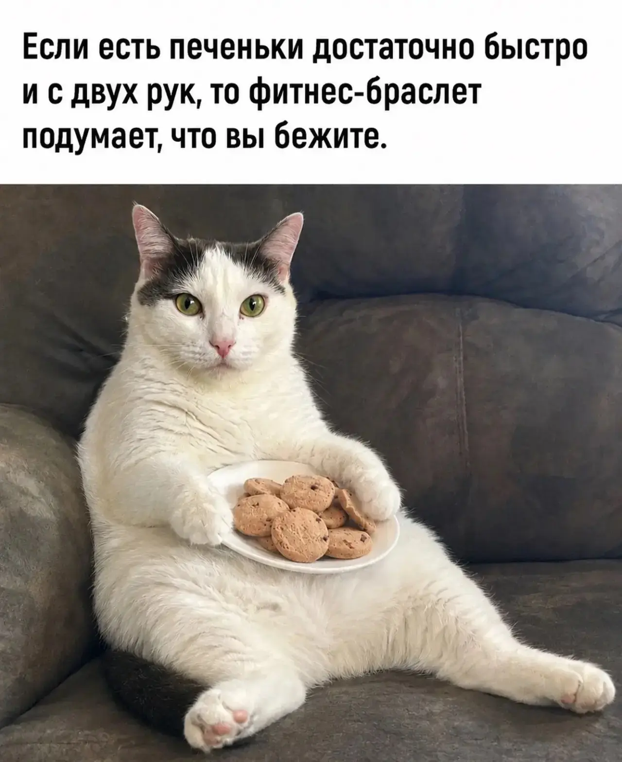 😂 до завтра, друзья