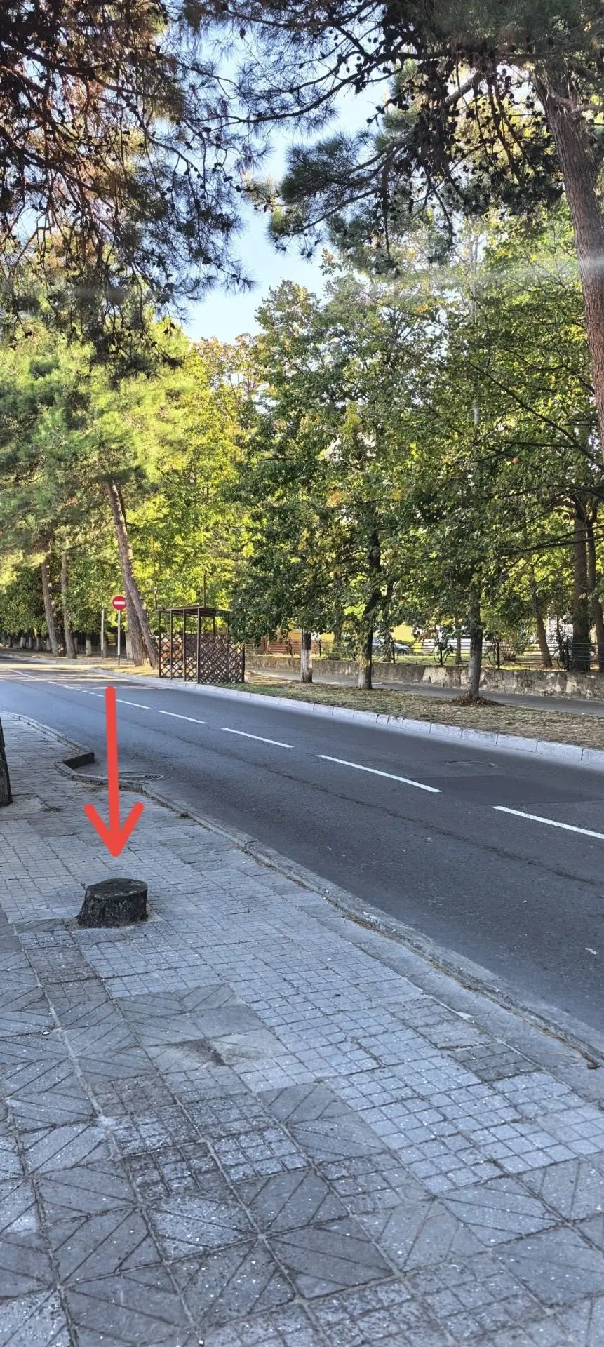 В городе-курорте Анапа сносят аварийные, сухие, а иногда и зелёные насаждения, но зачас...