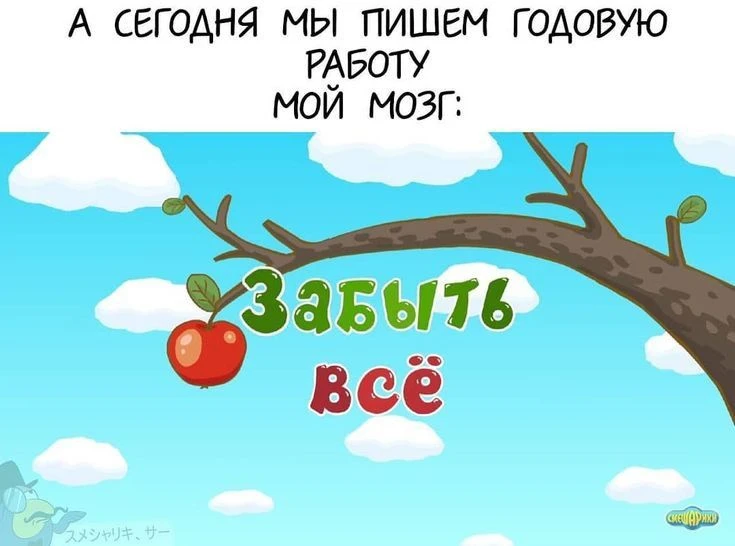 Мозг сегодня официально отдыхает😅
