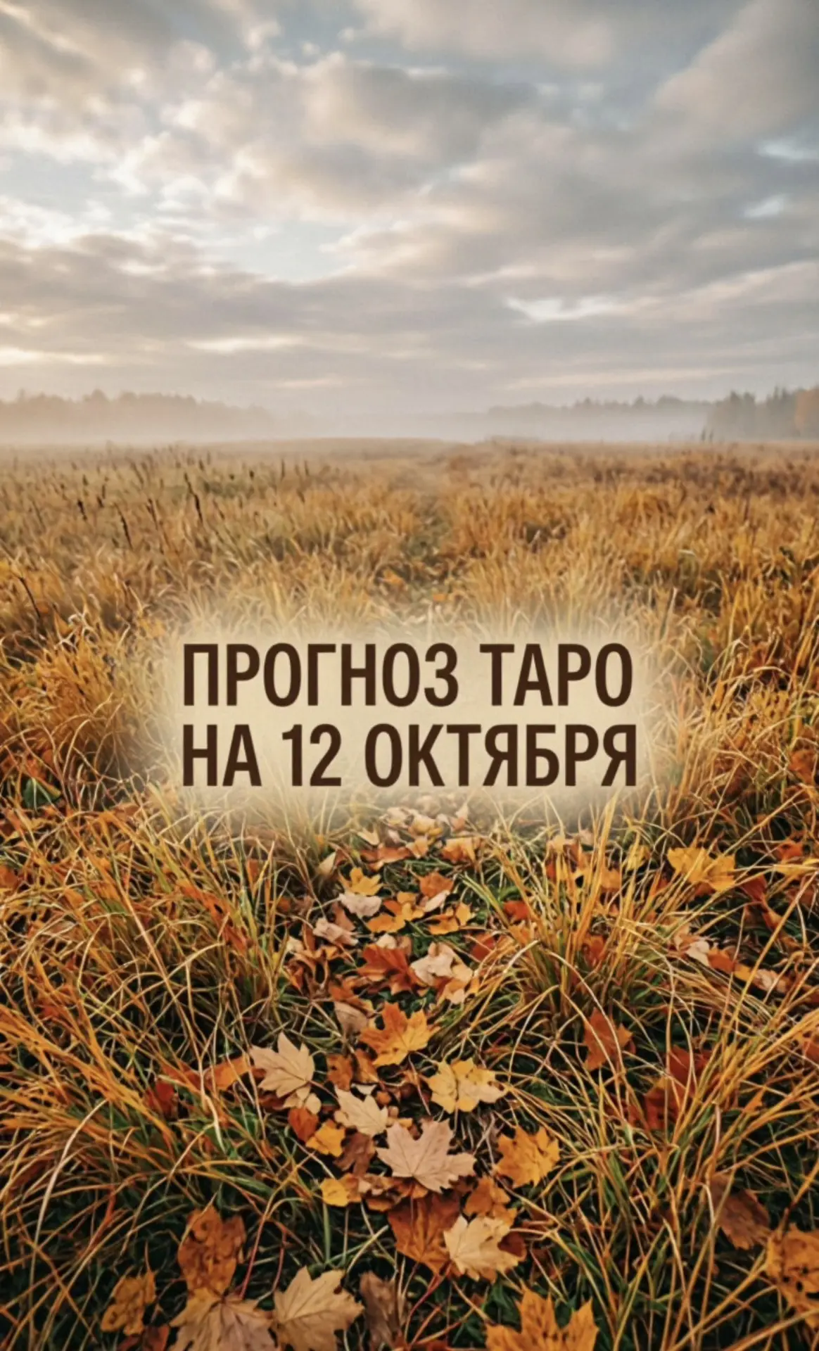 О Б Щ И Й  П Р О Г Н О З