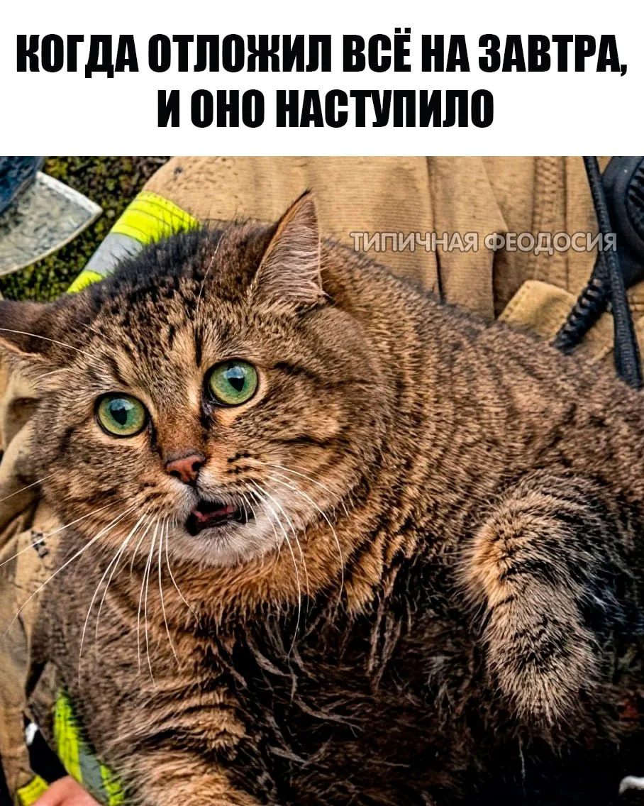 😱Как же так?