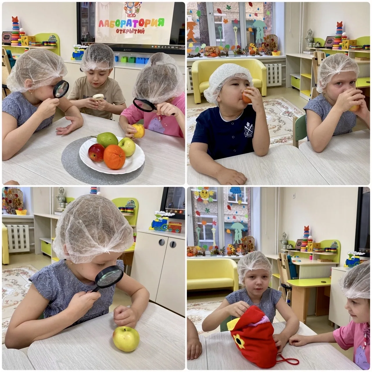ФРУКТОВАЯ ЛАБОРАТОРИЯ 🍎🍊