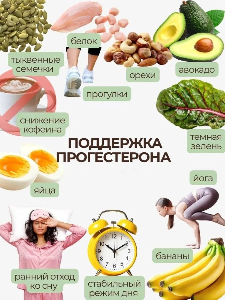 Прогестерон — это главный половой гормон (стероид), который часто называют «гормоном бе...