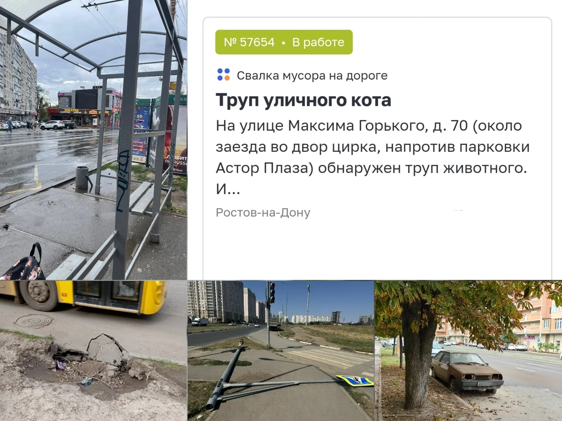 🌳 Ворошиловский лидирует по количеству проблем благоустройства среди районов Ростова