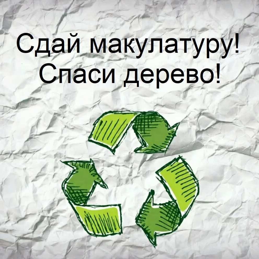 🎉 Ура! Мы сдали макулатуру и внесли свой вклад в заботу о природе. Каждая собранная ст...