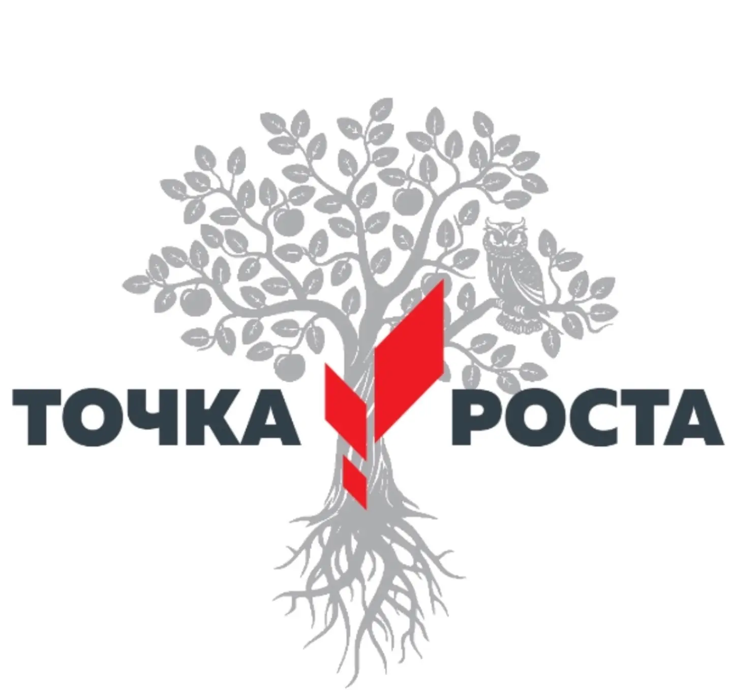 🌱🧬 13 октября начался районный смотр-конкурс центров образования «Точка роста» «Цели ...