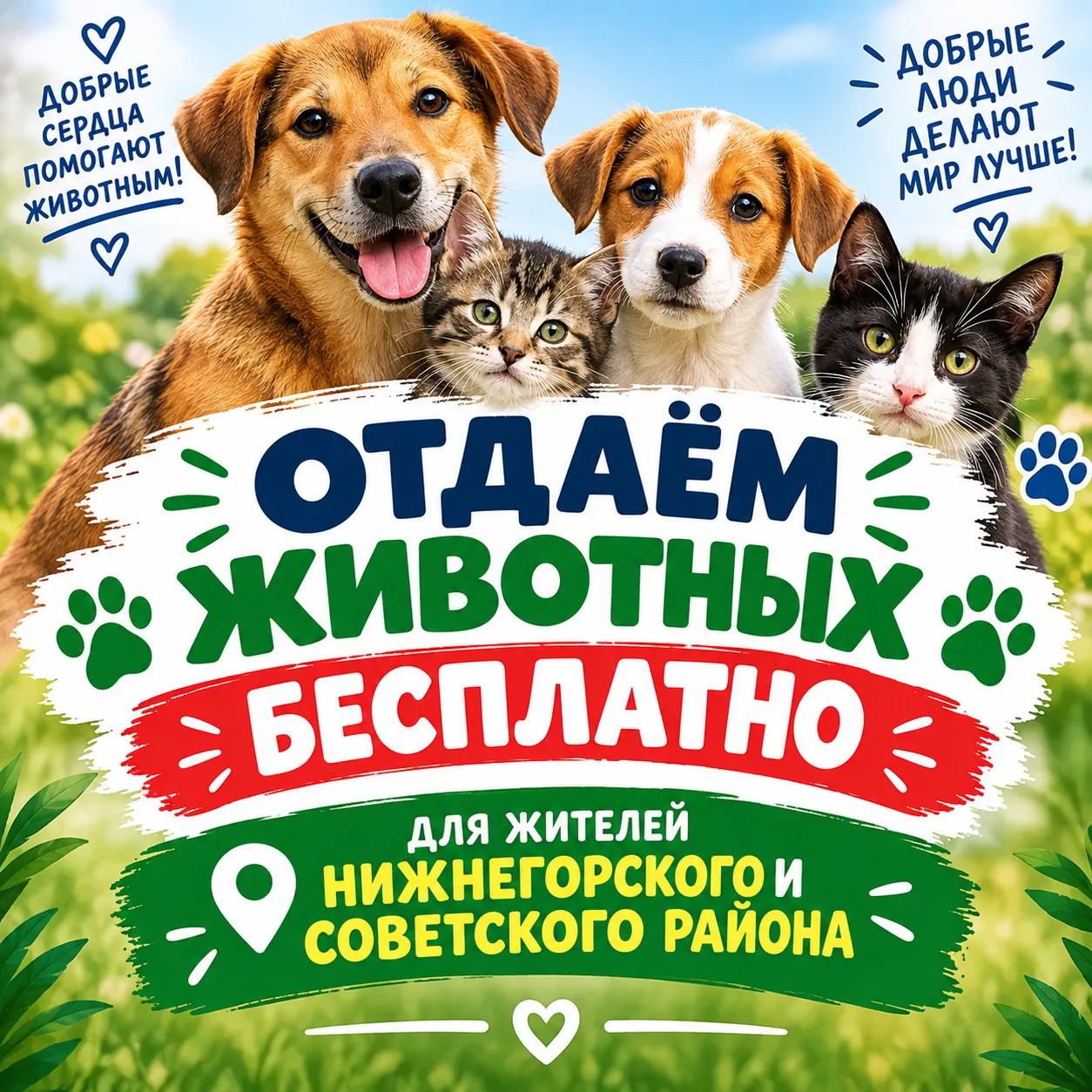 🐱🐶 Отдаём животных только в этой группе! Для жителей Нижнегорского и Советского района.
