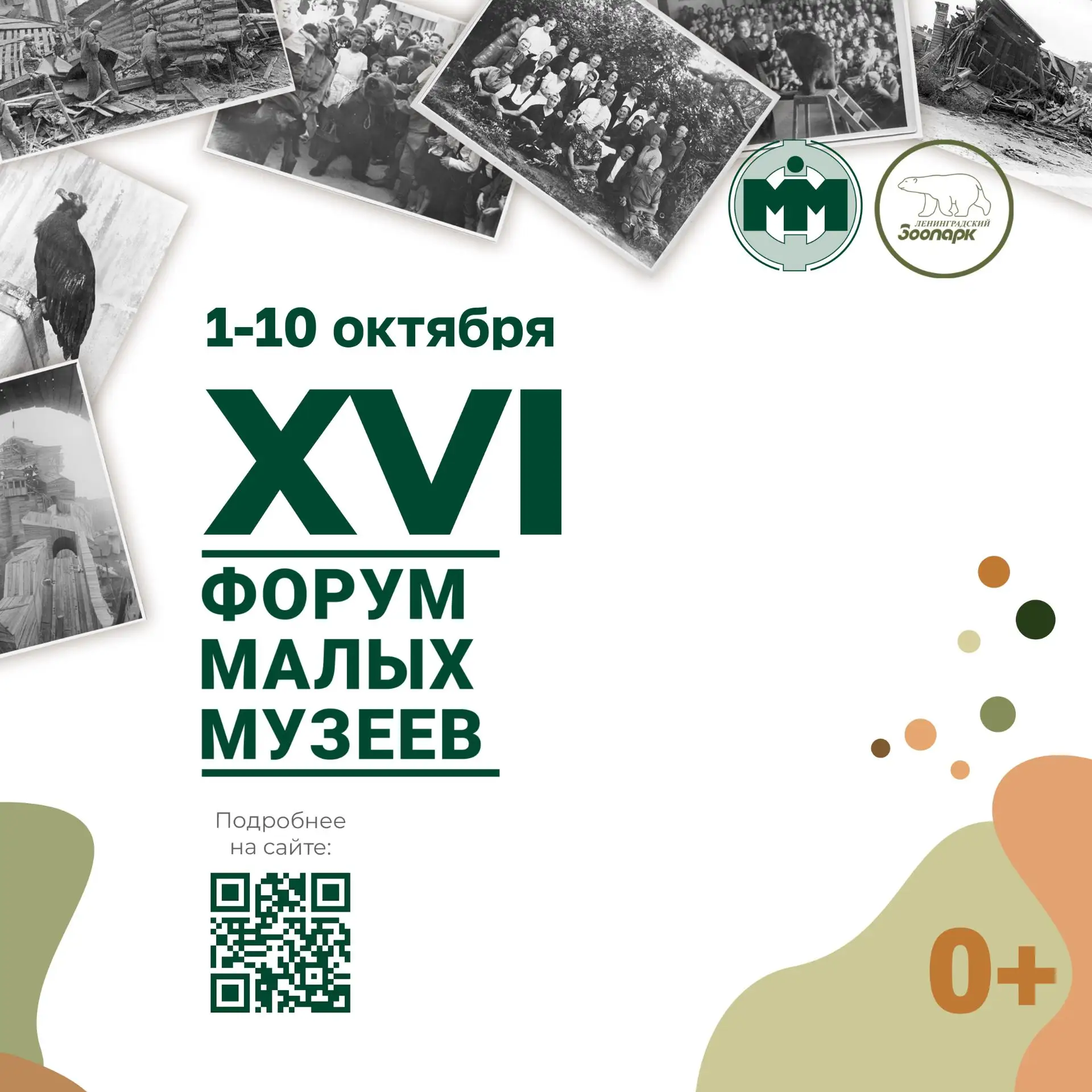 XVI Форум малых музеев🦛