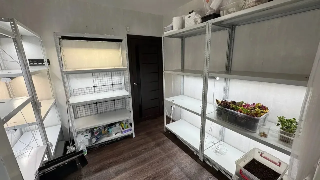 Давайте вспомним как было ДО в ЦВЕТОЧНОЙ КОМНАТЕ и как СЕЙЧАС.