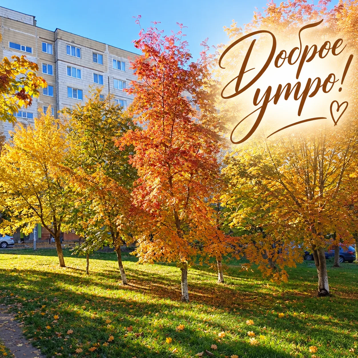Доброе утро, мои дорогие! 🍂