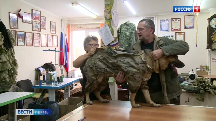 Волонтеры шьют комбинезоны для служебных собак в зоне СВО