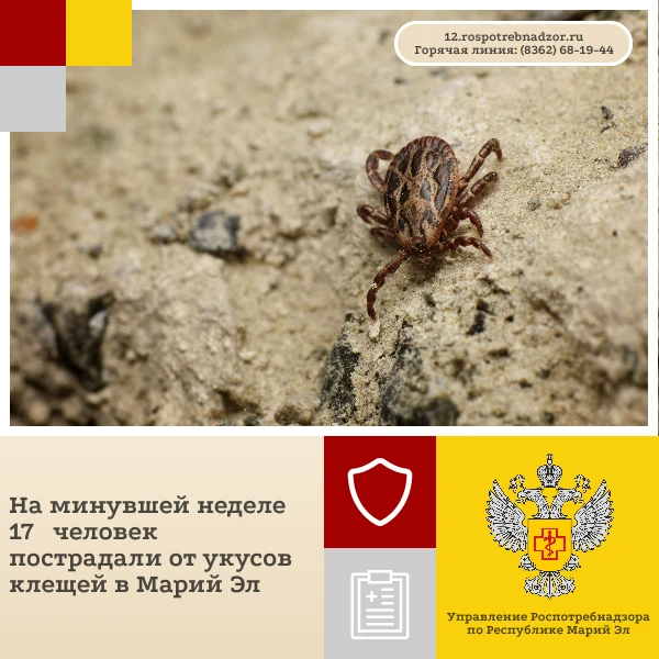 За прошедшую неделю с 5 по 11 октября за медицинской помощью обратились 17 пострадавших...